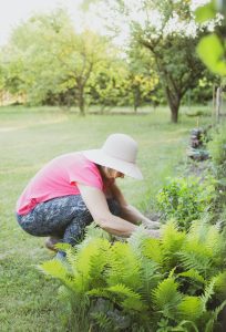 Een nieuwe tuinindeling: de kunst van tuinontwerp 