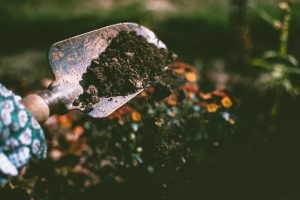 Hulpmiddelen om veilig te werken in de tuin