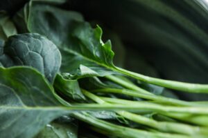 Boerenkool planten: Zo groeit deze wintergroente in je tuin