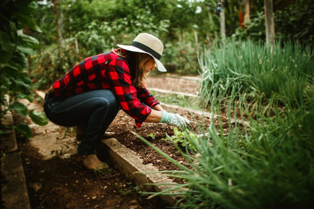 Prei planten in je moestuin: zo doe je dat