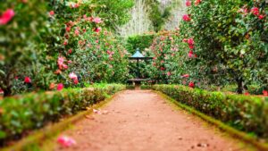 Wat moet je per seizoen doen voor een gezonde en stijlvolle tuin?