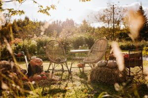 Zo houd je jouw tuin netjes en gezellig in elk seizoen