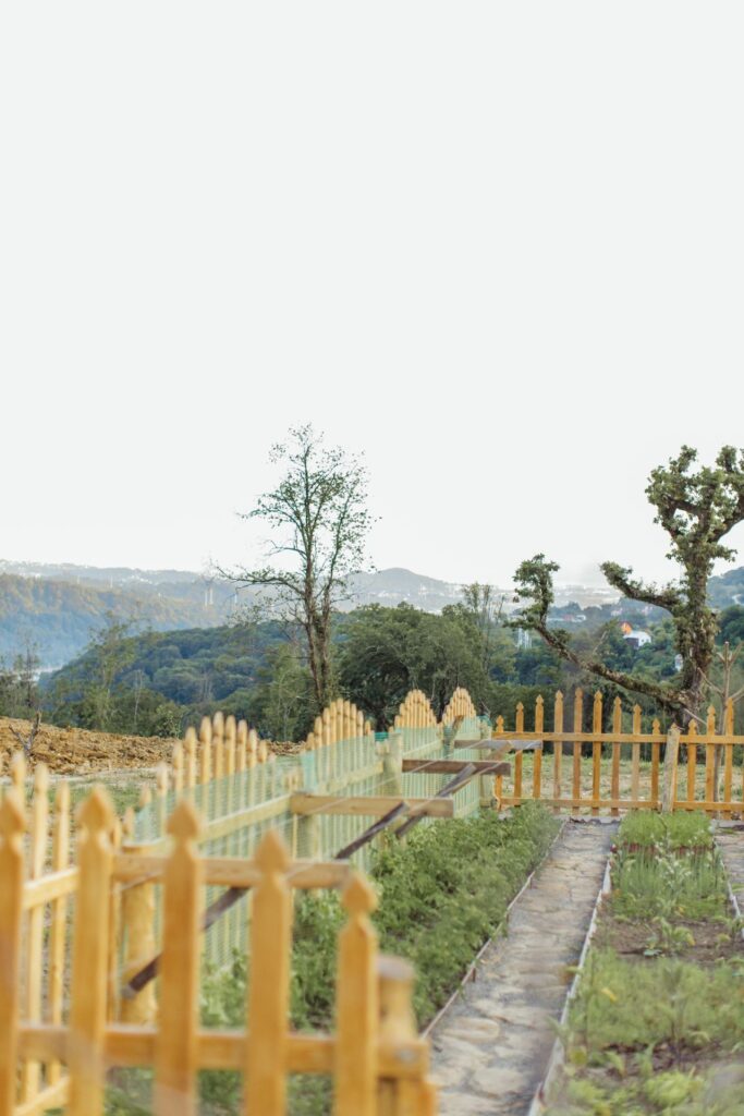 Een tuinscherm van hout: zo kies je de juiste afscheiding voor jouw tuin