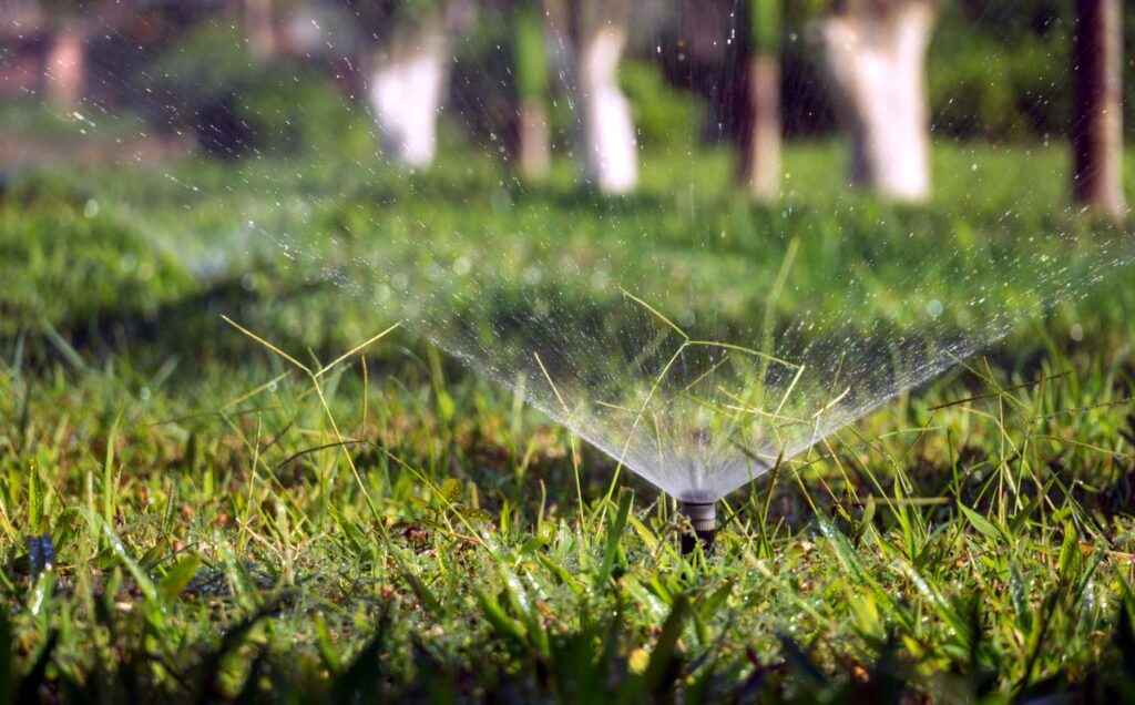Hoe zorg je voor een doordacht beregeningssysteem in je tuin?