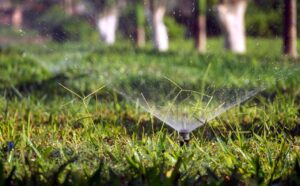 Hoe zorg je voor een doordacht beregeningssysteem in je tuin?