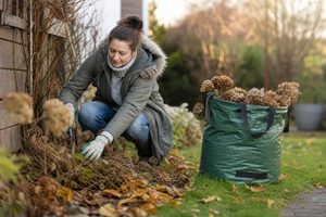 7 belangrijke tips om je tuin klaar te maken voor de winter